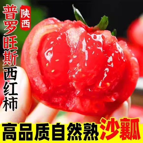 陕西正宗普罗旺斯西红柿应季新鲜番茄自然熟沙瓤生吃蔬菜大果礼盒-封面