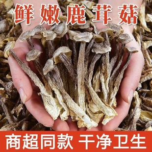鹿茸菇干货鹿茸菌商用香菇煲汤批发新鲜蘑菇美味食材 净重炖汤 包邮