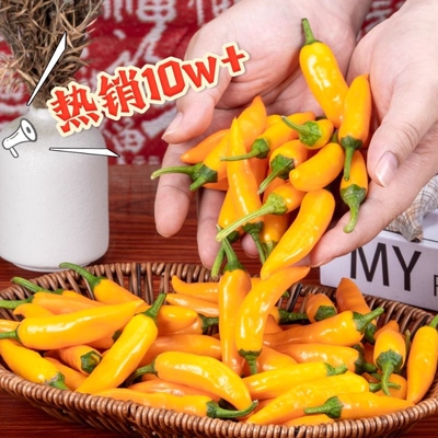 超辣永安小黄椒|363人收藏