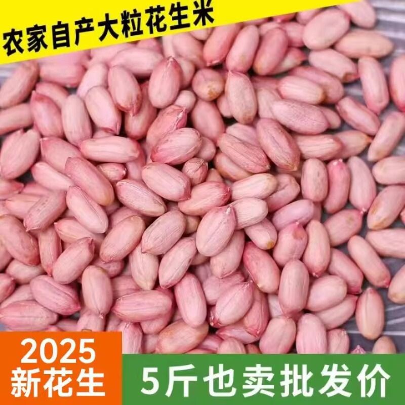 2025年山东大花生生花生农家自产大粒鲁花花生米大颗粒新花生新货