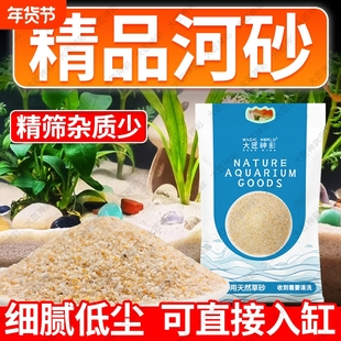 鱼缸造景河沙尼罗河沙化妆沙草缸南美缸鼠鱼底砂养花拌土实验细沙