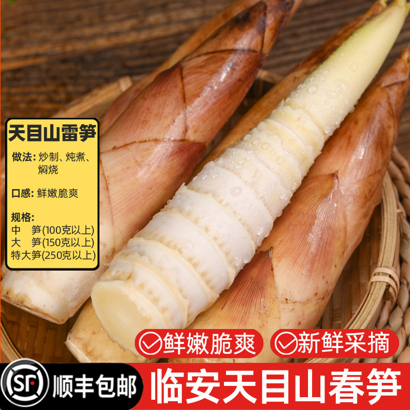 【顺丰包邮】临安雷笋新鲜现挖天目山野生带壳春笋黄泥笋时令蔬菜