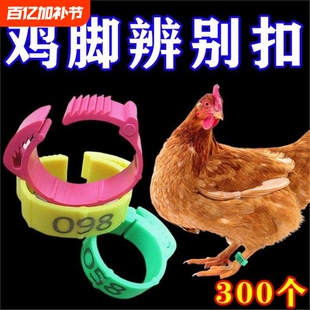 鸡脚环自动卡扣鸡做记号防走失家禽走兽识别扣环鸟用脚环调节标记