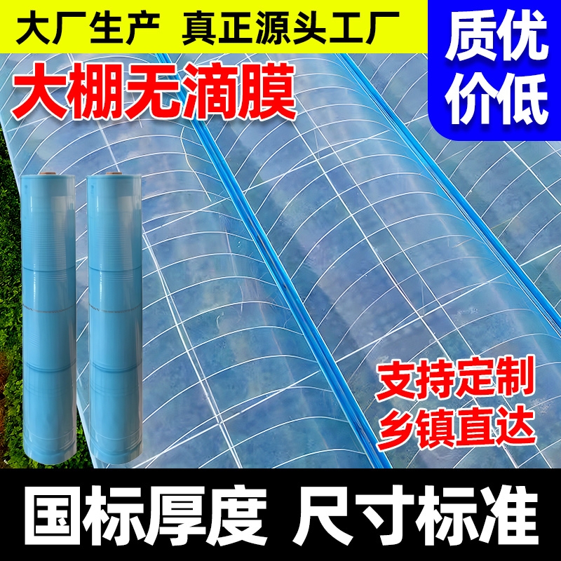 大棚无滴膜进口塑料膜整卷农用薄膜抗老化塑料布高透光葡萄专用膜