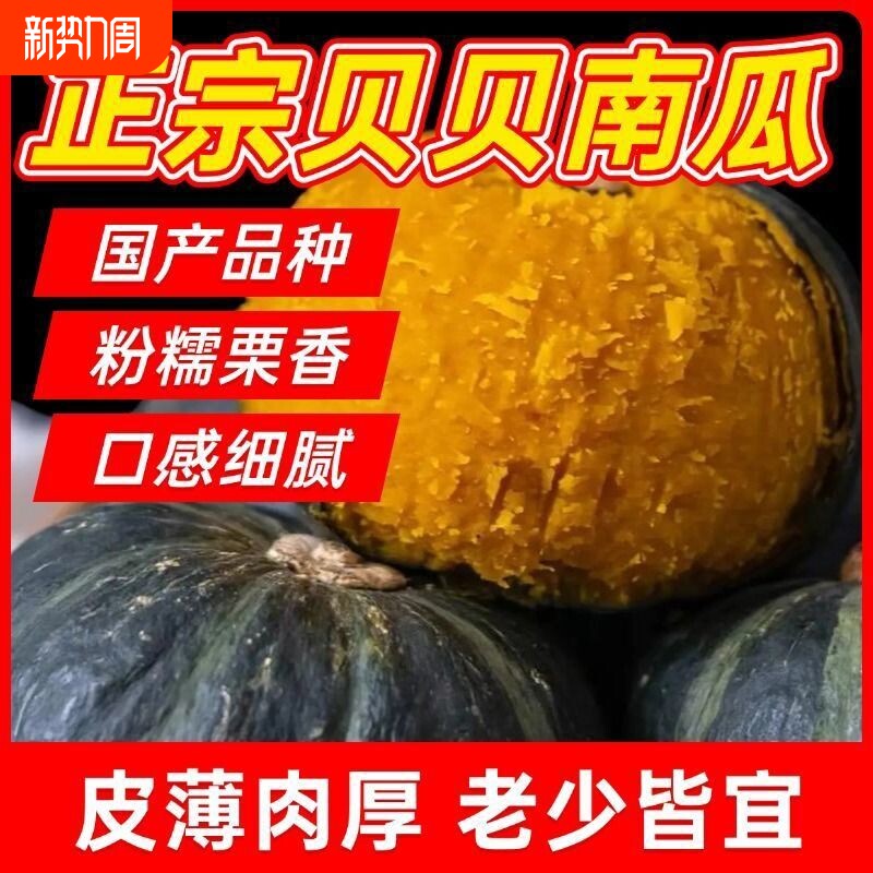贝贝南瓜正宗板栗口感新鲜小南瓜孕妇宝宝辅食老南瓜粉糯甜蔬果
