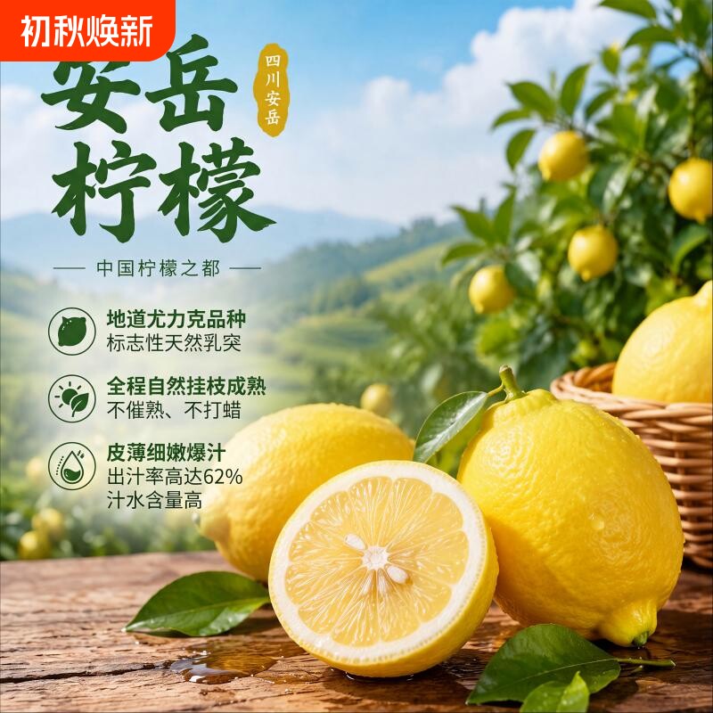 四川安岳黄柠檬新鲜果子无籽皮薄一级香水柠檬大果现摘现发茶饮店