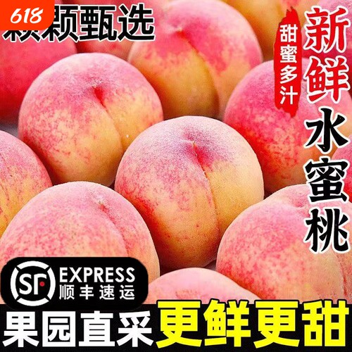 新鲜水蜜桃脆甜多汁久放撕皮