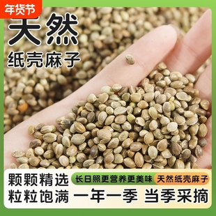 鹦鹉纸壳麻子鸟粮饲料麻籽仁小太阳虎皮牡丹玄凤天然火麻子小颗粒