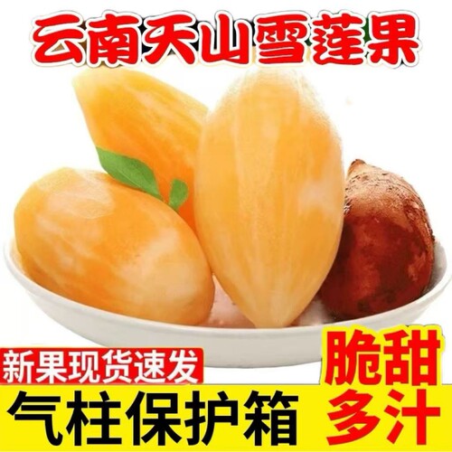 云南天山雪莲果新鲜水果当季应季黄心大果红泥包邮