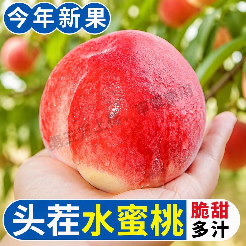 【头茬】现摘水蜜桃新鲜桃子脆甜桃应季软桃子毛桃孕妇水果整箱
