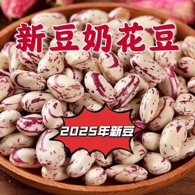 贵州农家自产雀蛋豆奶白花豆腰豆大碴粥饭豆杂粮奶花芸豆3/5斤