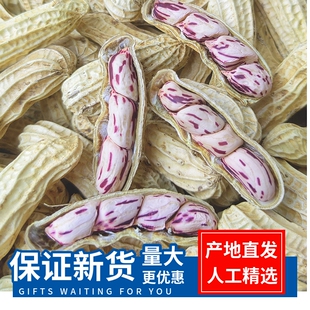 2026新货七彩花生云南特产水煮咸干五彩花生米晒干带壳新鲜食用