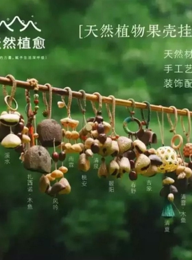 果壳挂件背包挎包印尼铃黑果夹竹桃鸭腱藤音疗铃森野风铃植物