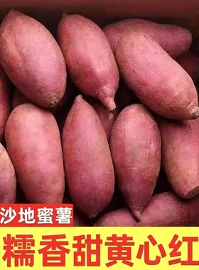 新鲜现挖黄心蜜薯软糯香甜批发价