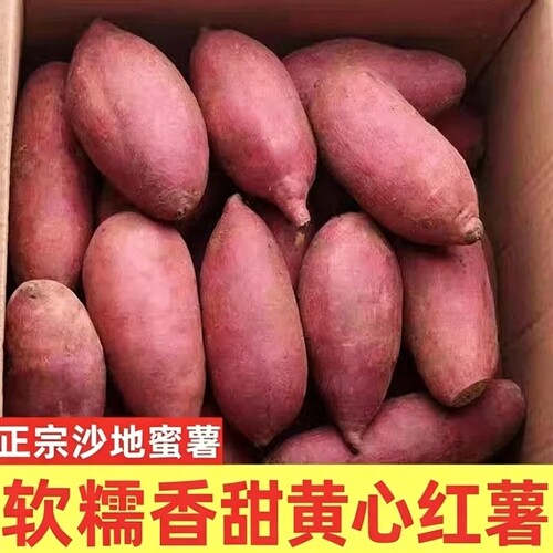新鲜现挖黄心蜜薯软糯香甜批发价