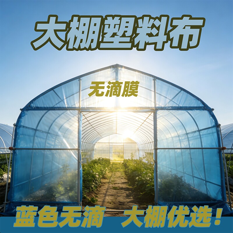 大棚塑料布透明加厚抗老化蓝色无滴膜农膜农用蔬菜保温薄膜地膜
