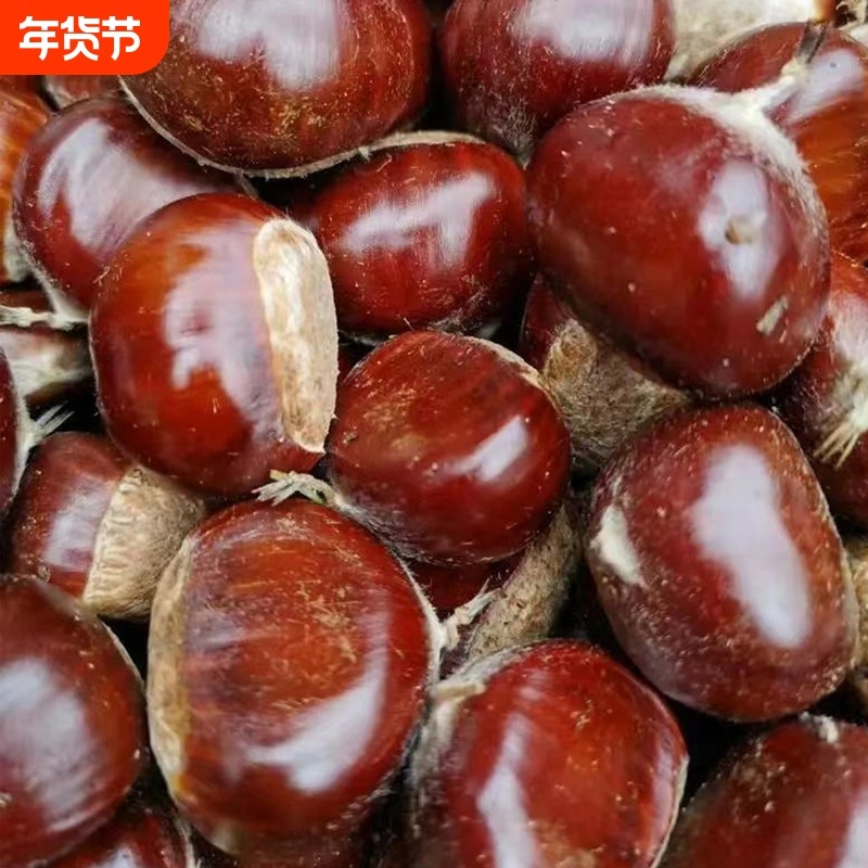 5斤 迁西板栗生新鲜栗子大河北唐山野生油栗子毛栗带壳结婚带壳,零食/坚果/特产,即食板栗,淘宝优惠券,粉丝福利购,淘宝优惠卷