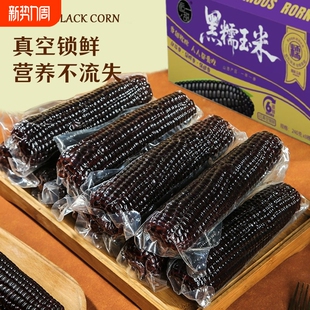 代餐 真空装 山西黑糯玉米8根240g黑玉米软糯玉米棒甜糯玉米 包邮