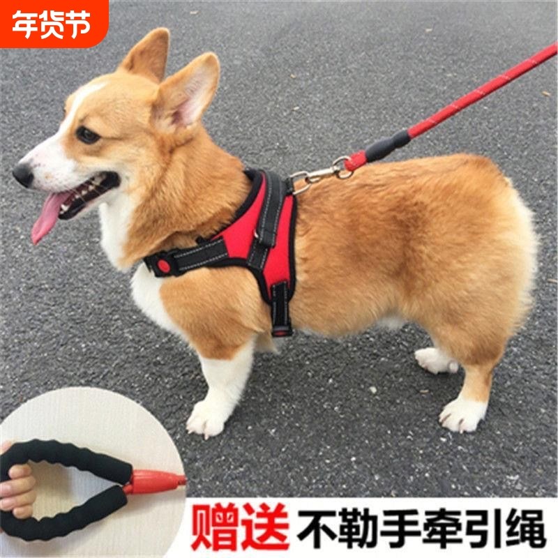 狗背带牵引绳背心式胸背带中型犬遛狗拉布拉多防咬防爆冲大型犬,宠物/宠物食品及用品,狗牵引绳,淘宝优惠券,粉丝福利购,淘宝优惠卷