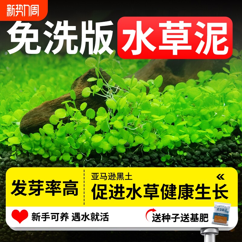 水草泥火山石底砂古法养鱼基肥水培造景鱼缸造景净水水族鱼缸滤材