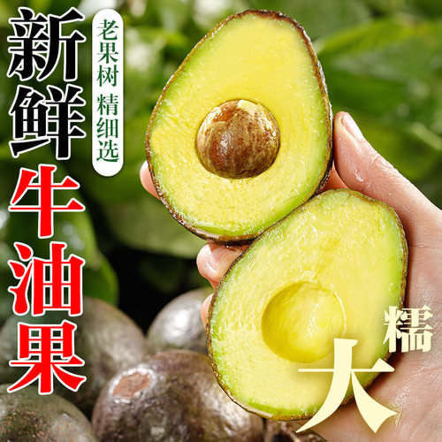 当季哈斯牛油果大果孕妇可食新鲜水果应季整箱包邮精选一级鳄梨