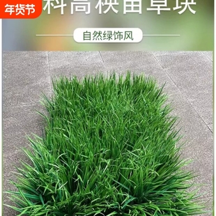 长草塑料草坪高须草块塑料草垫块秧苗草丛造景厚底草砖场地塑料草