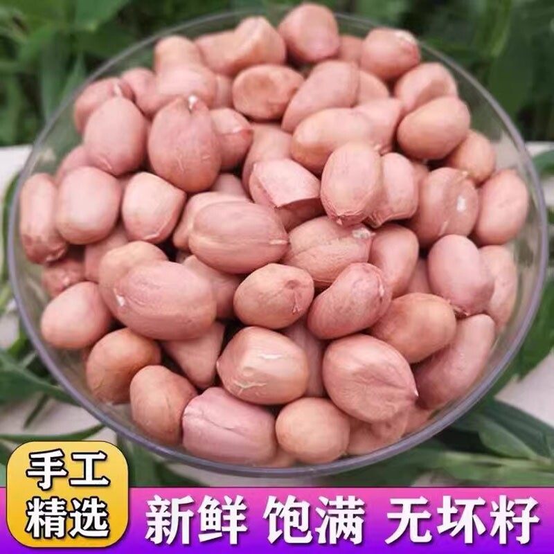 新货现剥白沙花生米特产级粉红皮现摘不带壳榨油白沙农家花生精选图片