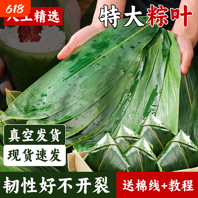 粽子叶棕叶大号叶包粽子专用的叶子端午节商用批发干粽叶食用真空