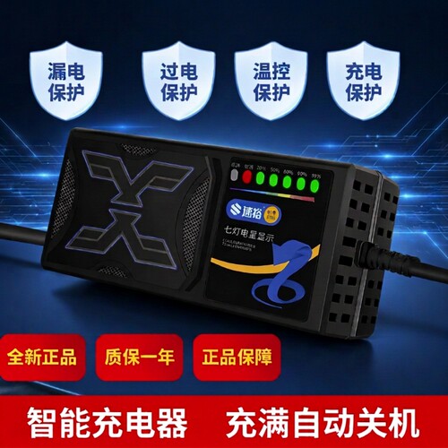 电动车充电器电瓶48V12AH60V20AH72V适用爱玛雅迪台铃小刀铅酸
