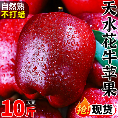 甘肃花牛苹果正宗天水苹果当季新鲜水果整箱包邮纯甜脆面整箱包邮
