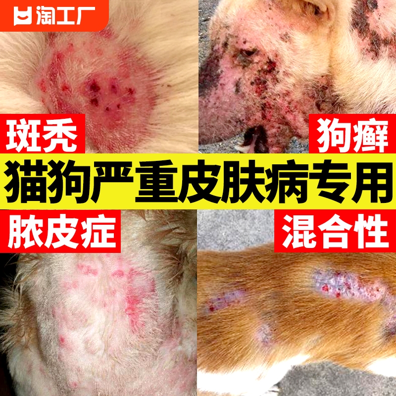 狗狗皮肤病喷剂猫藓外用药黑下巴猫癣专用药宠物狗癣真菌喷雾骨刺 宠物/宠物食品及用品 皮肤喷剂 原图主图