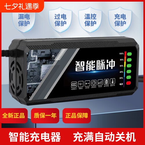 电动车充电器电瓶48v12ah60v20a72v适用于爱玛雅迪三轮铅酸石墨烯