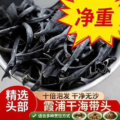 霞浦内海海带头厚度好，约15公分
