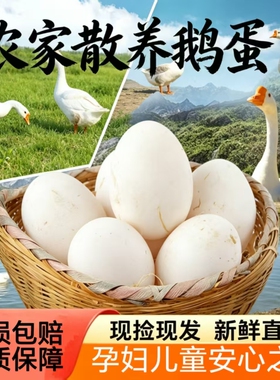 新鲜农家散养土鹅蛋正宗大鹅蛋绿色天然孕妇月子儿童老人营养鹅蛋