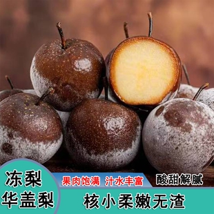 正宗华盖梨冻梨花盖梨冻梨酸甜解腻节日必备孕妈最爱酸甜可口冻梨