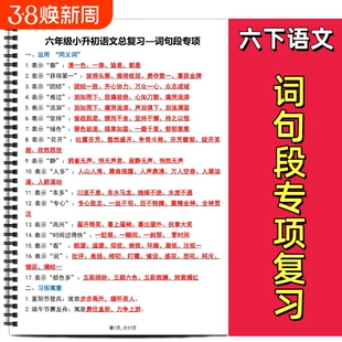 小升初六年级下册语文词句段专项总复习运用同义词习俗寓意句子描写句式转换期末复习常考知识归纳