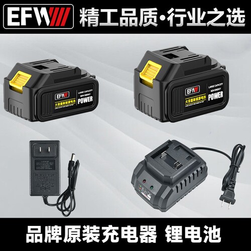 【原装正品】德国高端EFW 原装电池 原装充电器大容量多功能充电