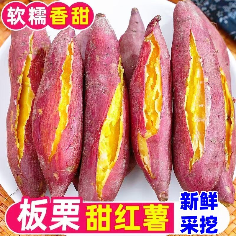 正宗粉糯板栗红薯新鲜沙地糖心蜜薯整箱黄心地瓜香薯山芋现挖番薯,水产肉类/新鲜蔬果/熟食,番薯,淘宝优惠券,粉丝福利购,淘宝优惠卷