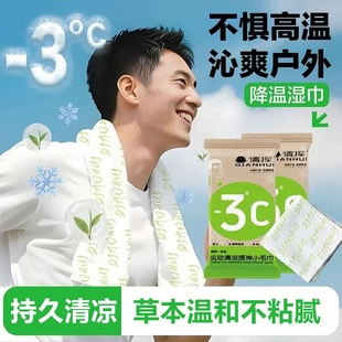 冷感冰凉湿巾纸大冰凉毛巾薄荷降温独立包装 一次性演唱会户外运动