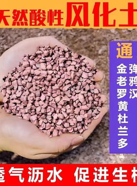 小叶簕竹土勒竹专用土风化竹子土红土酸性盆景土种植土营养土茶花