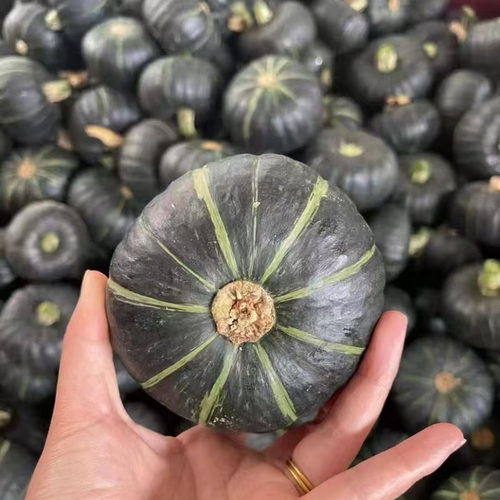 贝贝南瓜正宗广西新鲜板栗味
