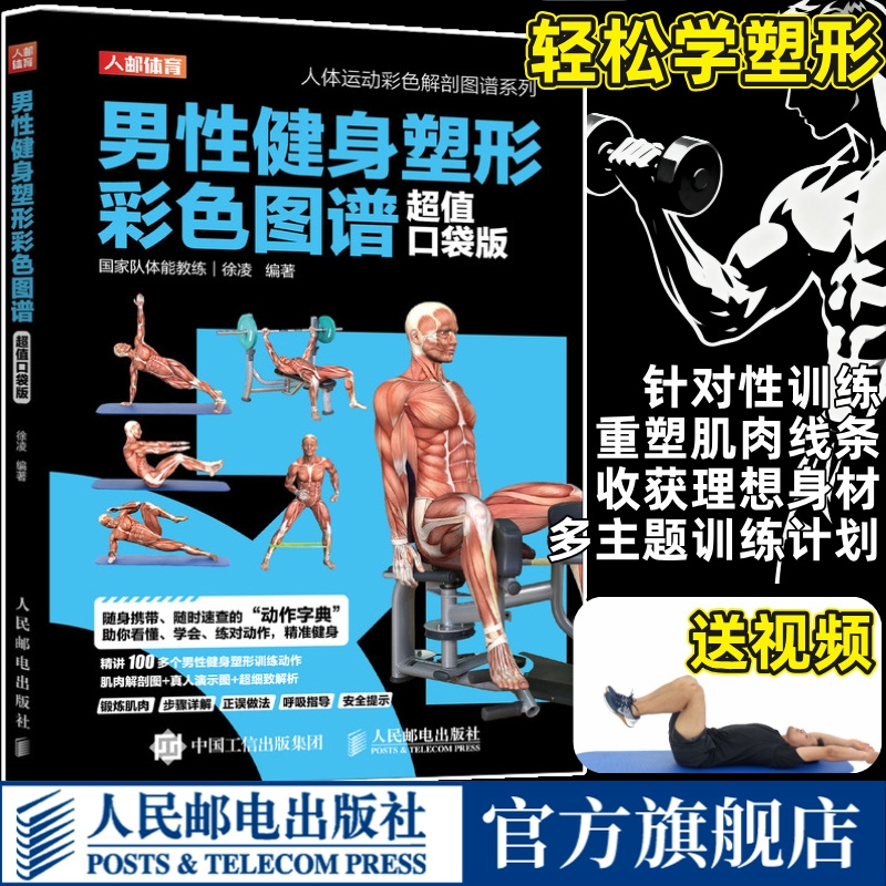 男性力量训练彩色图谱 无器械徒手肌肉力量训练基础计划健身百科专业书籍 健身房器械使用教程