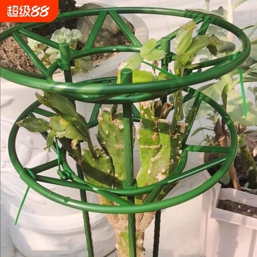 塑料多层花架通用|超2000次加购