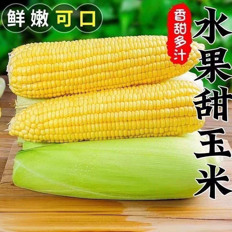 云南甜玉米水果玉米9斤爆浆甜脆玉米黄金糯玉米新鲜香甜多汁现摘