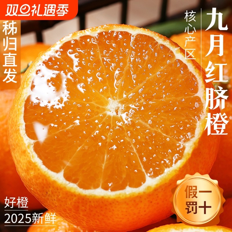 新鲜九月红秭归脐橙果冻橙10斤大果孕妇水果整箱甜橙手剥橙子榨汁