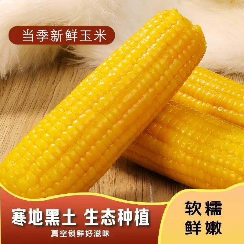 新货东北黄甜糯玉米棒当季新货粗粮主食粘黏苞米真空装早餐非即食,粮油调味/速食/干货/烘焙,玉米,淘宝优惠券,粉丝福利购,淘宝优惠卷