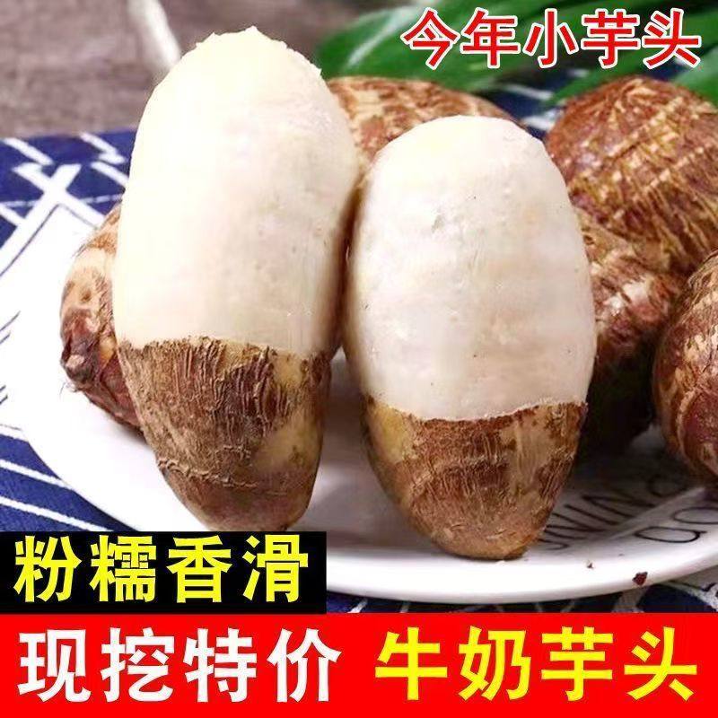 山东牛奶小芋头新鲜蔬菜粉糯红毛芋头槟榔芋当季芋艿香芋农家软糯