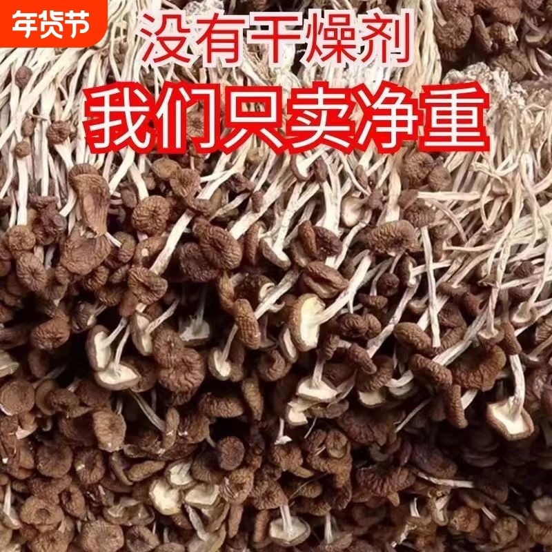 净重新货古田茶树菇干货鲜嫩农家茶薪菇不硫熏超值香菇美味年货