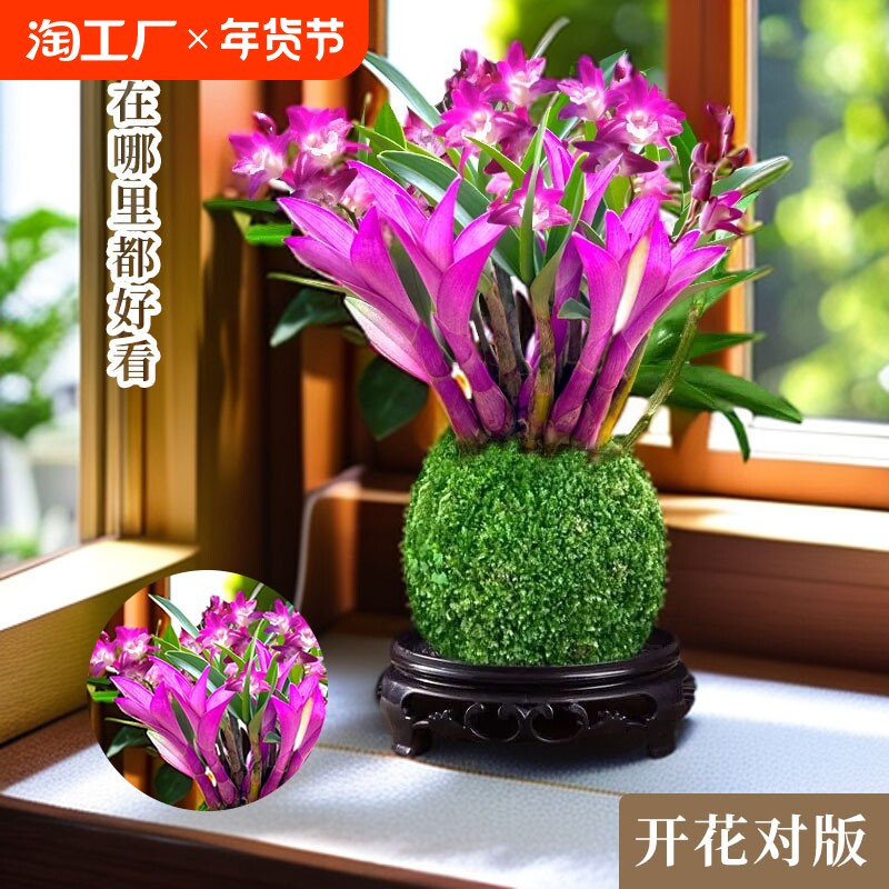 3���߲�ʯ�� ������������ ��� ��׿��� �����Ժ� �߲���ˮʯ�������ļ���������ֲŨ����ʯ����������ˮ�࿪������