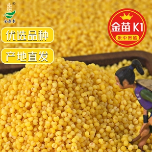 内蒙古赤峰敖汉K1黄金苗正宗一级小米2024年新鲜五谷杂粮糯粥粗粮